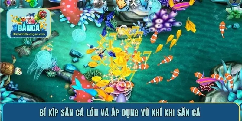 Bí kíp săn cá lớn và áp dụng vũ khí khi săn cá 