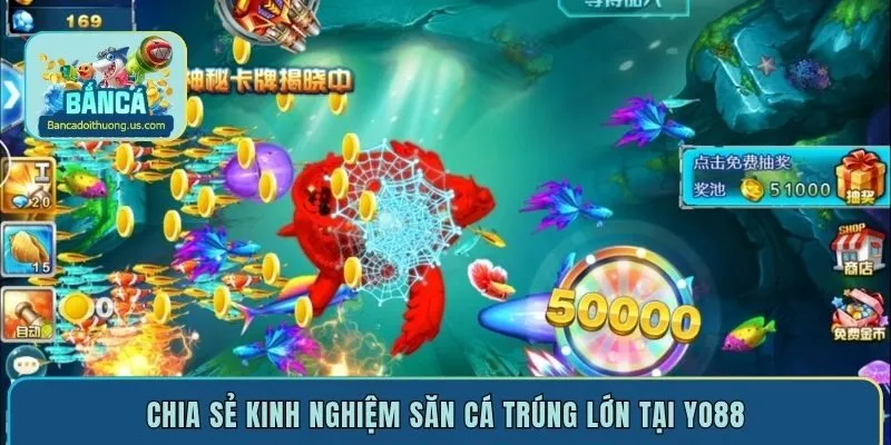 Chia sẻ kinh nghiệm săn cá trúng lớn tại Yo88