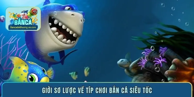 Giới sơ lược về típ chơi bắn cá siêu tốc