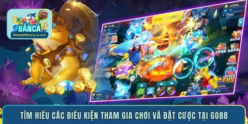 Tìm hiểu các điều kiện tham gia chơi và đặt cược tại Go88
