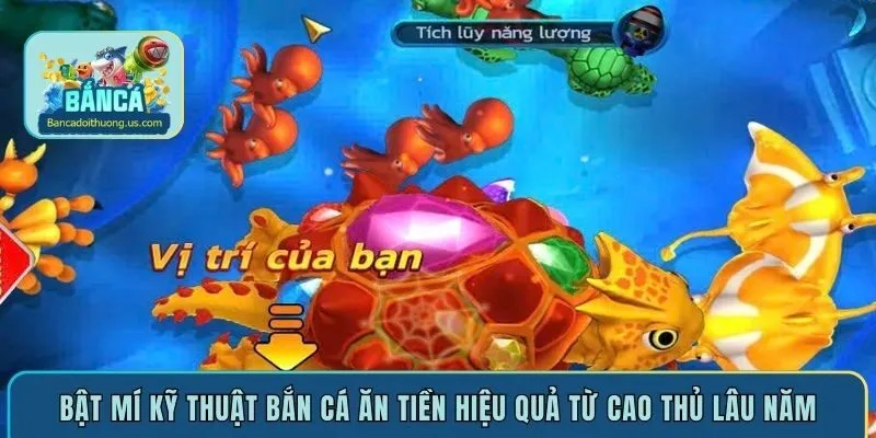 Bật mí kỹ thuật bắn cá ăn tiền hiệu quả từ cao thủ lâu năm