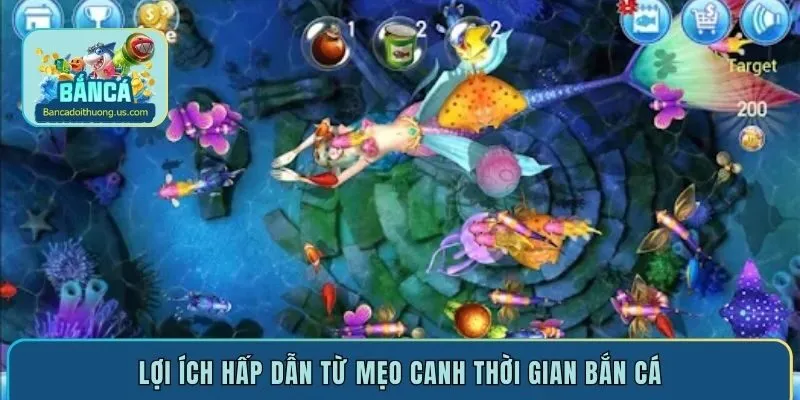 Lợi ích hấp dẫn từ mẹo canh thời gian bắn cá