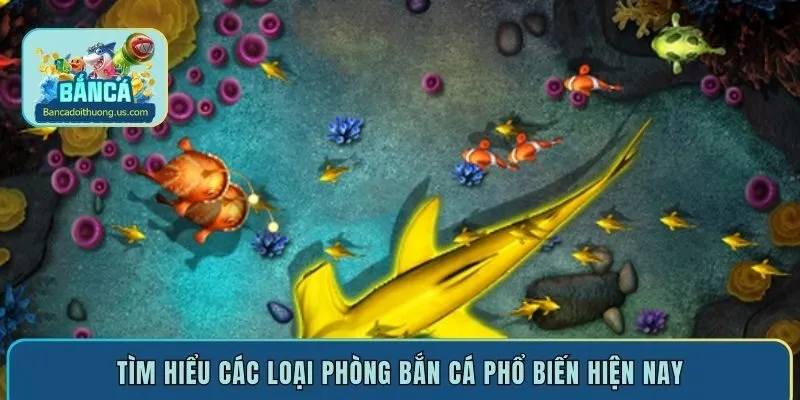 Tìm hiểu các loại phòng bắn cá phổ biến hiện nay